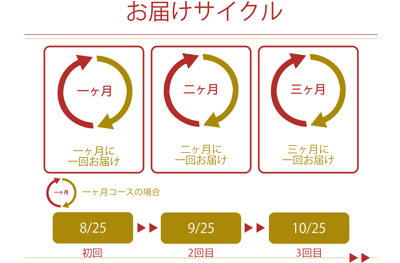 甘酒　注文サイクル2