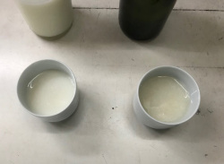 甘酒ヨーグルト試験醸造20180529