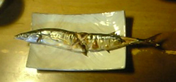 秋刀魚